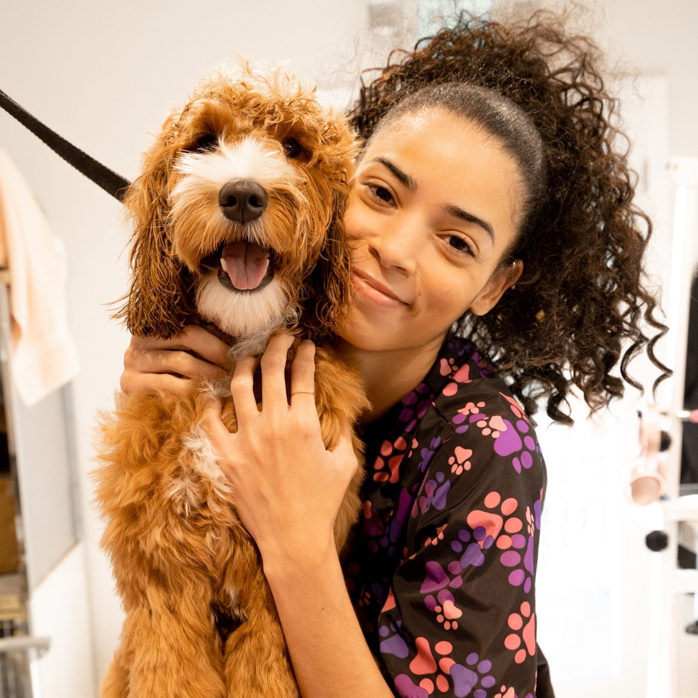 Groom Best Dog Grooming in West Hollywood